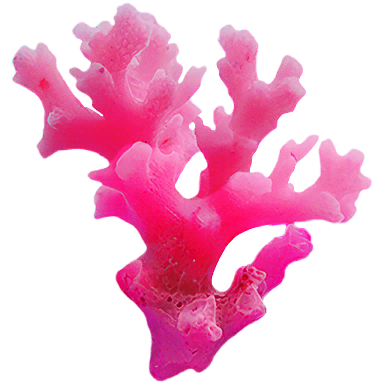 Coral