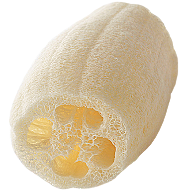 Loofah