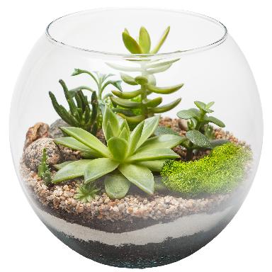 Tiny terrarium